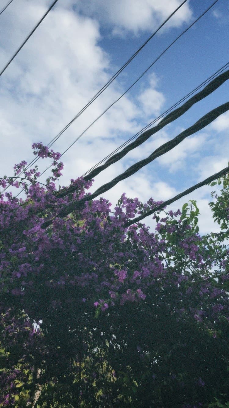 Photograph 2
