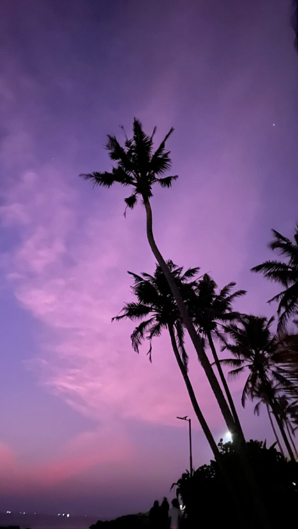 Mumbai Evening