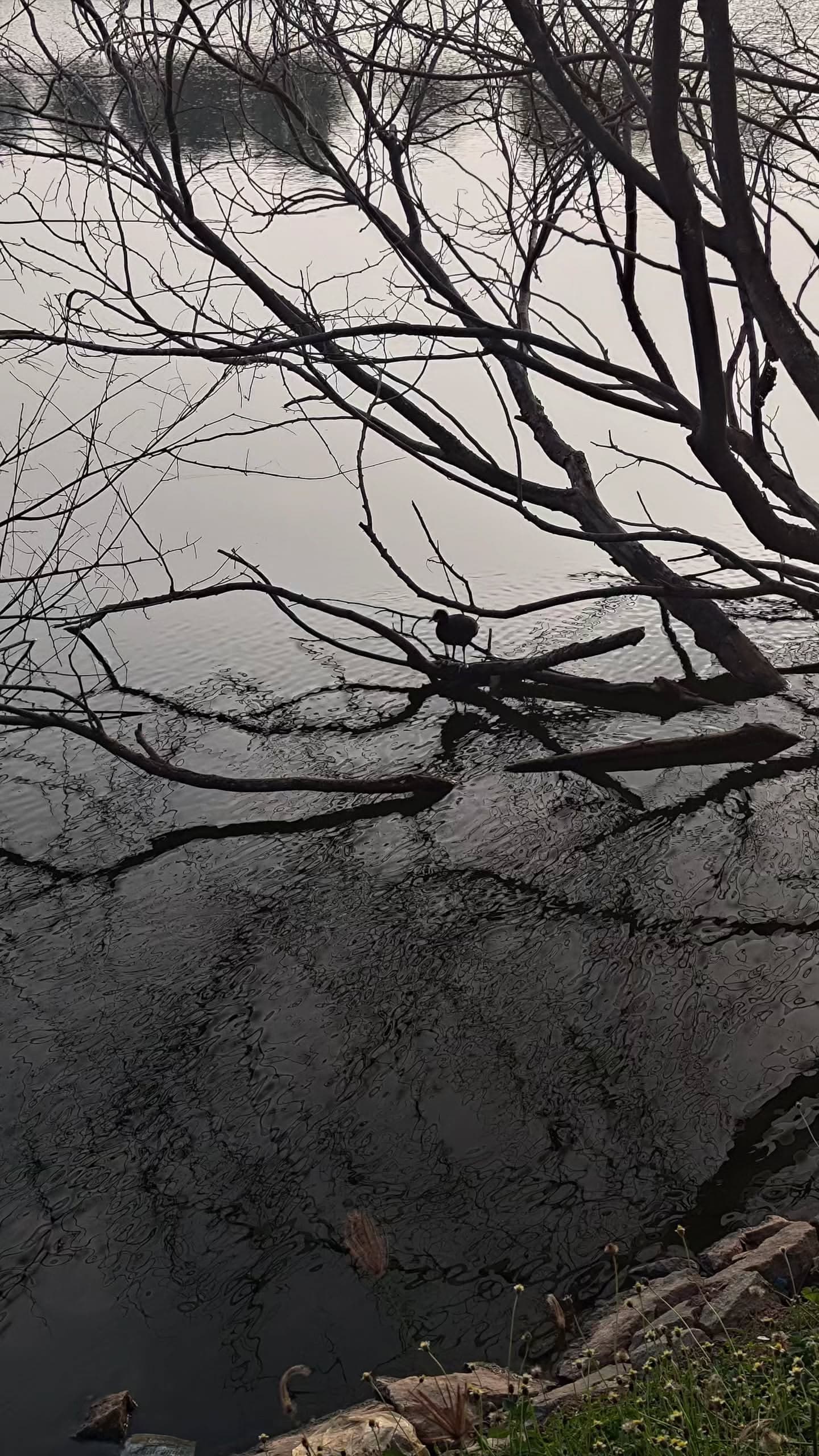 Hidden Lake