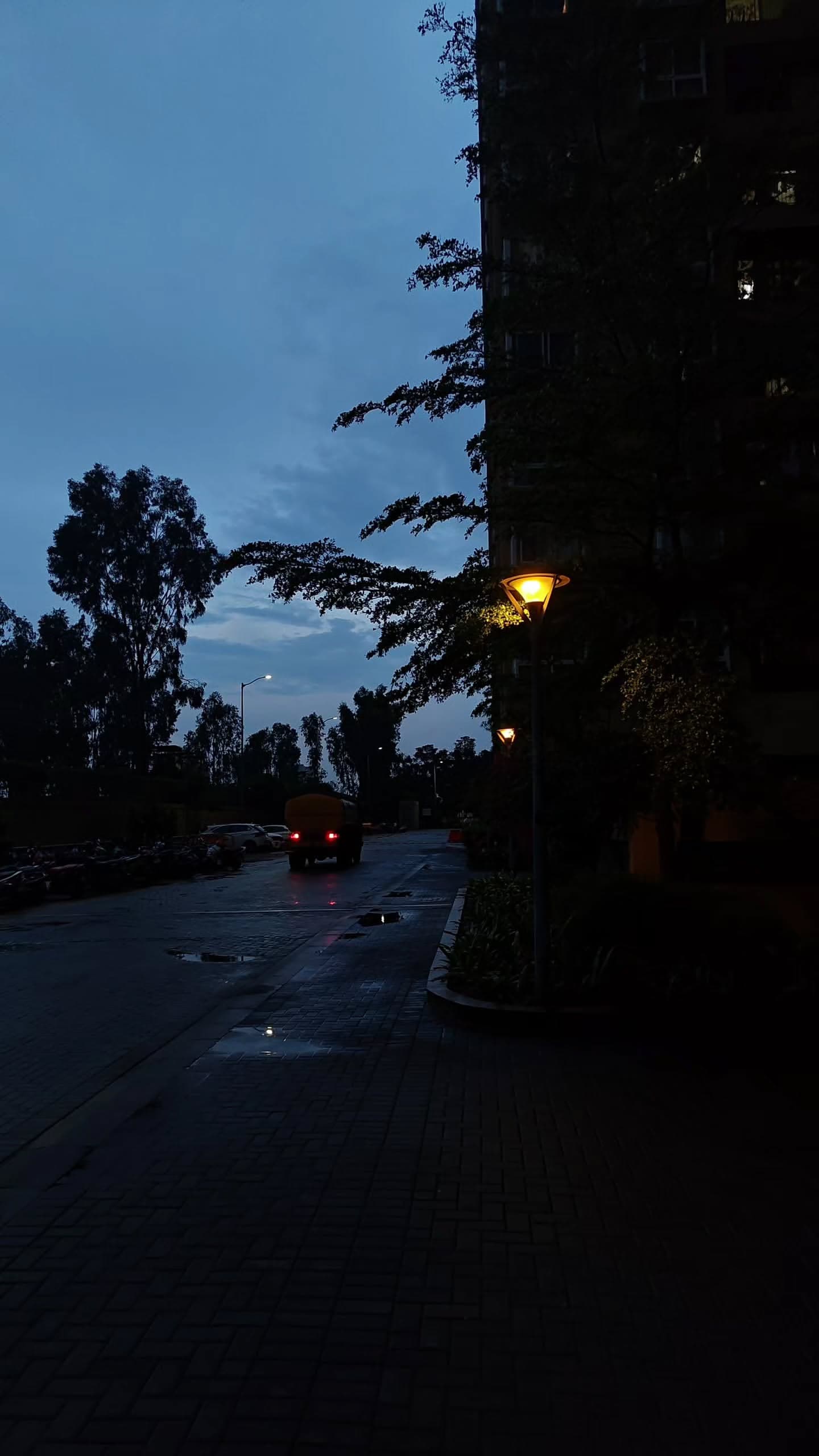 Rainy