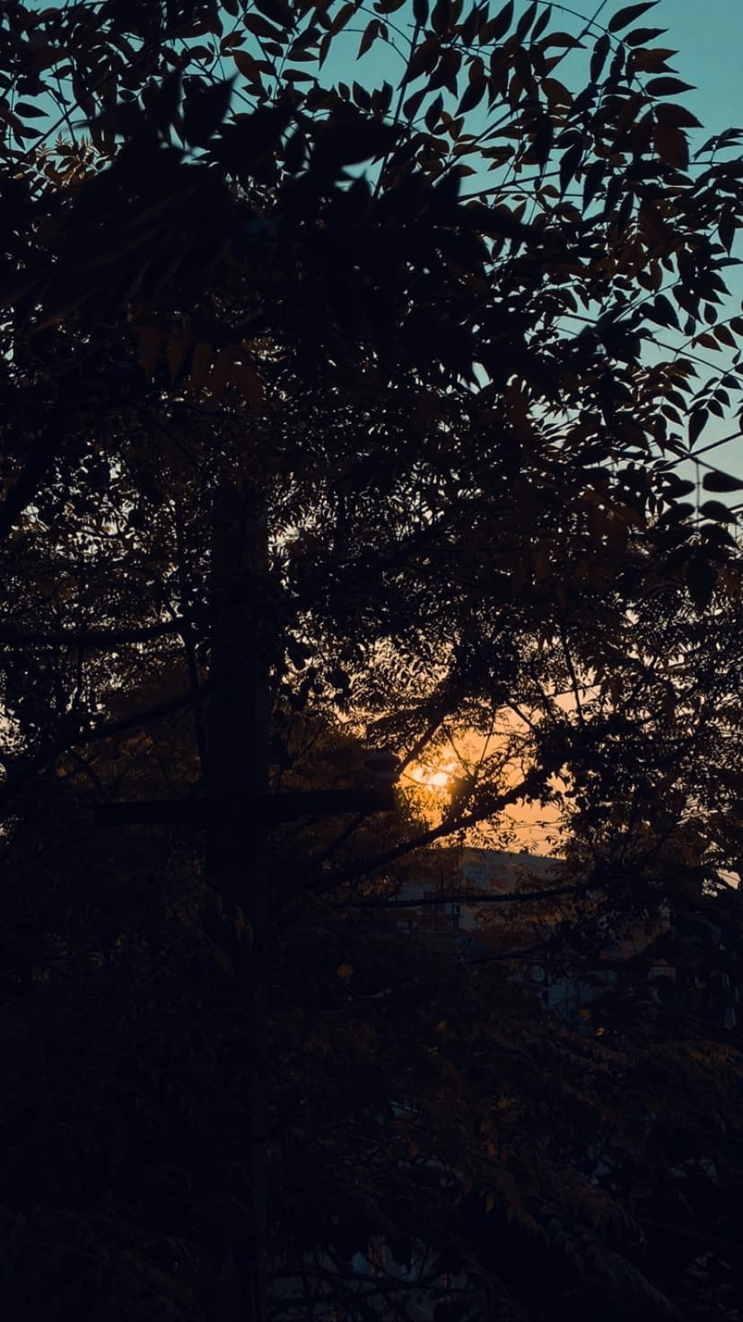 Evening