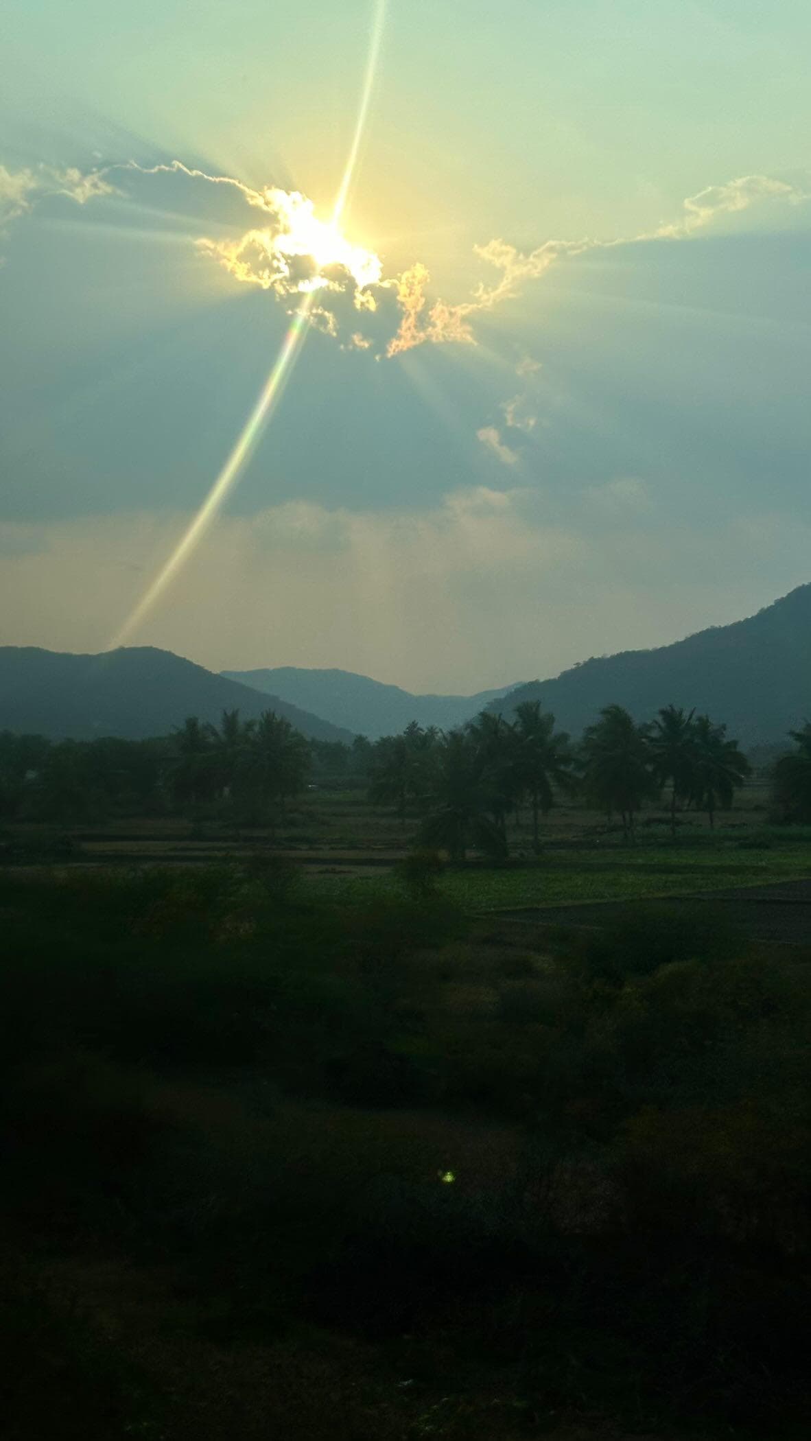 Train View