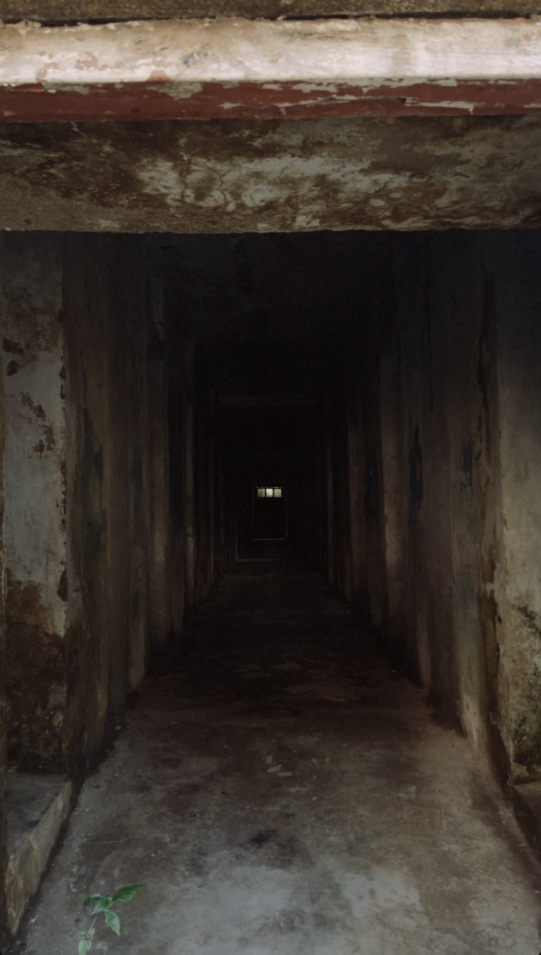 Dark Passage